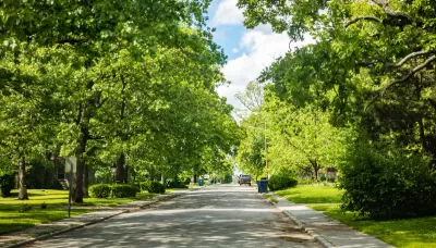 Large trees on either side of wide suburban street.