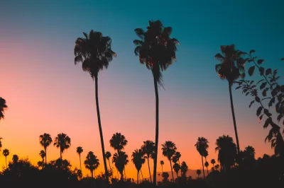 Sillhouettes of tall alm trees in Los Angeles against dark sunset colors