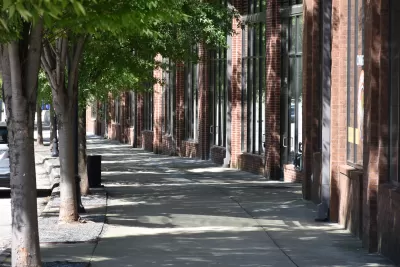 Urban sidewalk shaded by large mature trees
