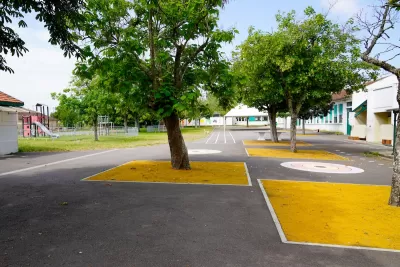 Trees in a schoolyard.