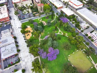 Aerial view of green park with purple blooming jacaranda trees in Pasadena, California.