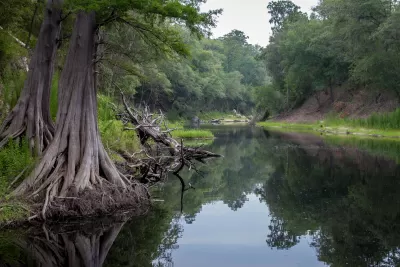 Suwanee river with tall trees along the banks in northern Florida