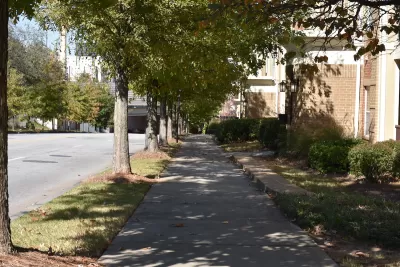 Mature trees shading an urban sidewalk.