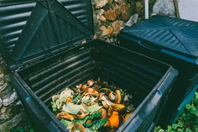 Close-up of food waste inside a black plastic compost bin.