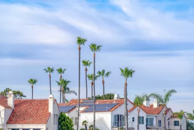 View of red tiled rooftops with solar panels and tall palm trees between houses