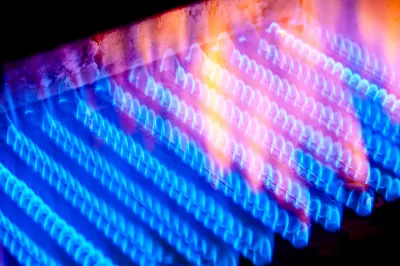 Close-up of multiple lines of blue natural gas flames inside a boiler.