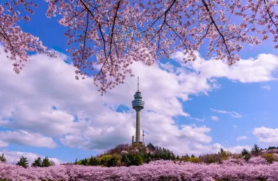 View of E-World 83 Tower in Seoul, South Korea through branches full of white and pink cherry blossoms.
