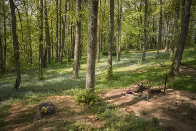 Photos of modest gravesites surrounded by a lush, green forest.