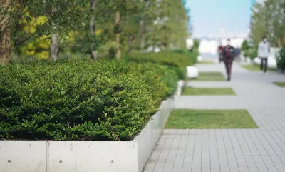 Close-up of elevated planter box in sidewalk with alternating grass and concrete patches.