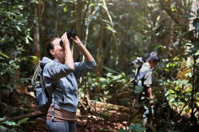 Woman looking up through binoculars at birds in tree.