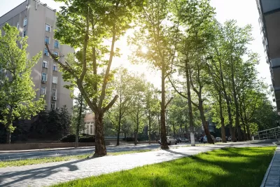 Tall mature green trees lining a concrete walkway next to a street with multistory apartment buildings on other side and sun filtering through the leaves.