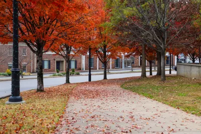 Vividly colored orange and red autumn trees along sidewalk in Nashville, Tennessee