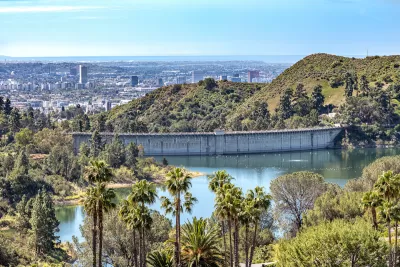 View of Hollywood Reservoir with palm trees in foreground and Los Angeles neighobrhoods in background.