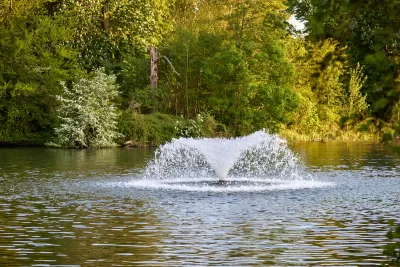 Artesian fountain in point against backdrop of green forest in city park.