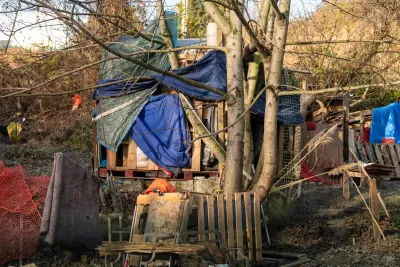 Makeshift shelter built by unhoused person against a tree using pallets, blue tarps, fabric, and other debris in wooded area in Seattle, Washington