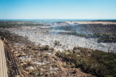 Aerial view of forest damaged by wildfire in Texas.