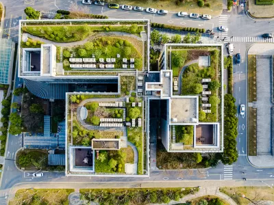 Bird's eye view of green roof.