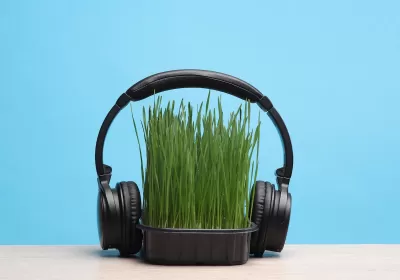 Set of black headphones attached to small tray of wheatgrass sitting on table against blue background.