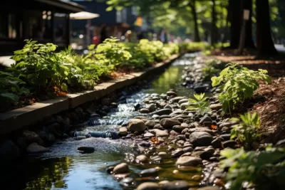 Close-up of bioswale drain with pebbles and various small plants with water running through.