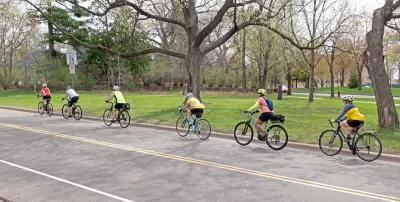 Row of six cyclists riding down asphalt road with large trees on side.