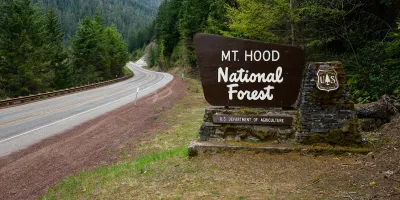 Sign for Mt. Hood National Forest sign on roadside.