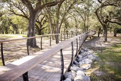 Wooden walkway in forest in Bonnet Springs Park, Lakeland, Florida.