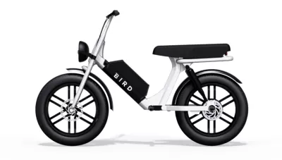 Bird Cruiser
