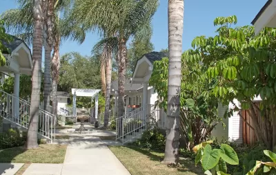 One-story bungalow court complex in Pasadena, California with leafy green palm trees.