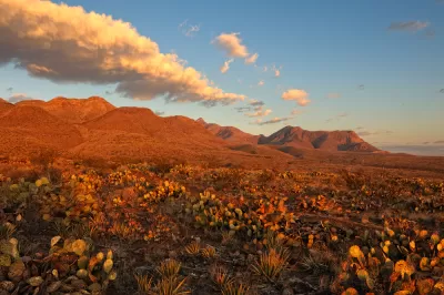 A mountain range at sunset appears in the background of this photo, with cacti in the foreground.