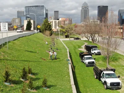 People planting tree seedlings on grassy side of roadway in Louisville with downtown skyline visible in background.