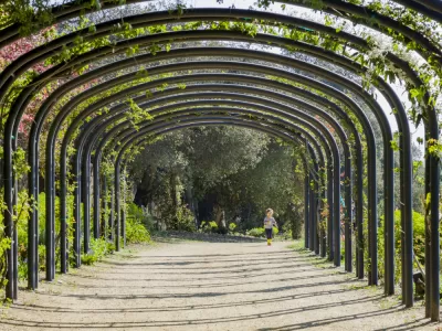 A little girl running in the beautiful Descanso Garden in Los Angeles, California.