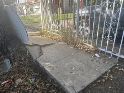 A cracked sidewalk in Los Angeles.