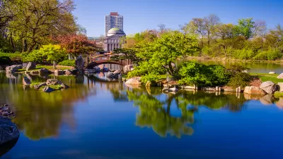 Jackson Park