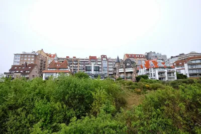 Belgian town with traditional architecture on hillside.