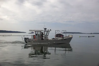 White small fishing boat on water.
