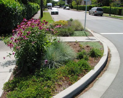 A curb extension at the end of a block landscaped with small shrubs and pink flowers in residential neighborhood.