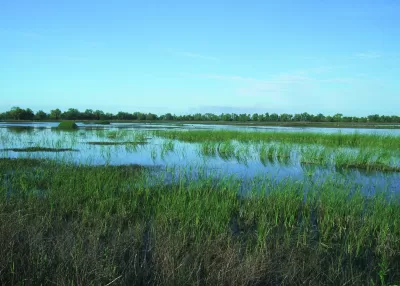 Natural Resources Conservation Service's Wetlands Reserve Program