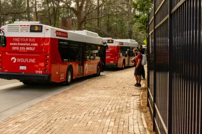 A line of buses on campus at North Carolina State University, pictured with fall leaves on the ground.