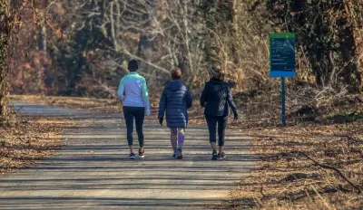 Three people walking away from camera on a park trail.