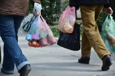 Two people carry groceries in plastic grocery bags.