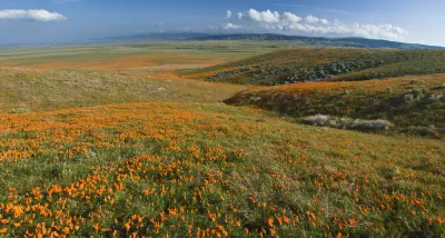 Antelope Valley, California