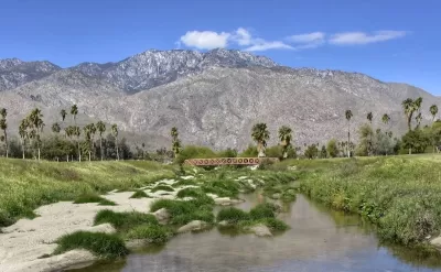 View of small pedestrian bridge in Prescott Preserve Palm Springs, California with palm tree oasis and mountains in background.