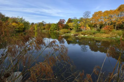 Prospect Park Lake in Brooklyn with fall foliage on surrounding trees.