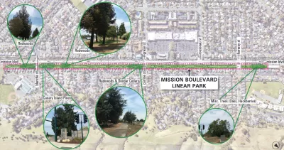 Map showing Mission Boulevard Linear Park in Hayward, California and bubbles highlighting types of trees along park area.