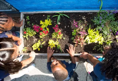 Overhead view of young children looking at plants growing in raised planter box.