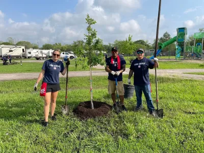 Three people standing next to freshly planted tree, posing for photo.