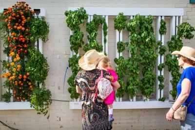 Urban Gardening