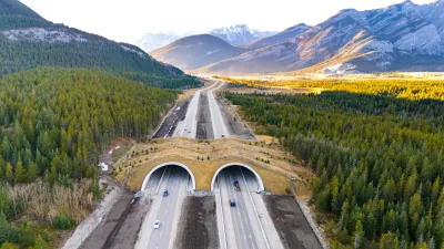 Banff wildlife overpass