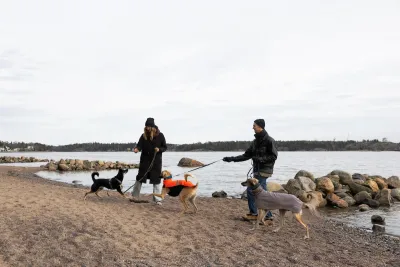 Two people with three dogs on beach in Helsinki, Finland on an overcast day.