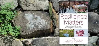 Ivy-covered stone wall and cover of Resilience Matters e-book